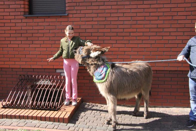 Niedziela Palmowa w siedleckiej katedrze - zdjęcia