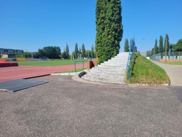 Lekka atletyka na poważnie